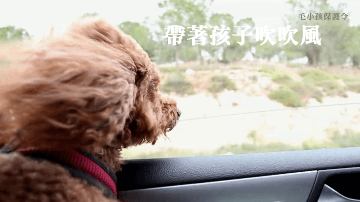 帶著孩子吹吹風-lulu